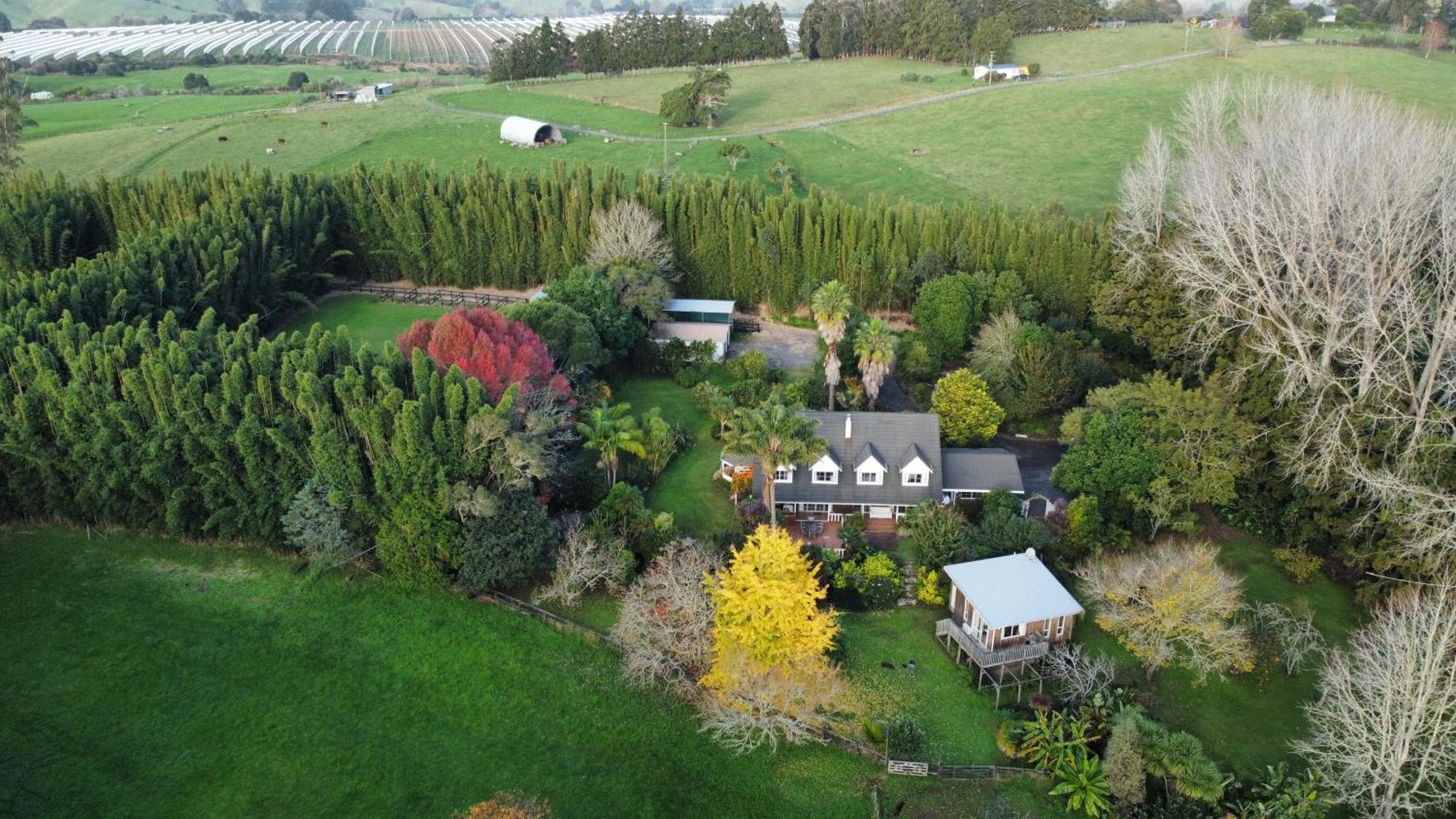 Horse Shoe Manor Paihia Eksteriør billede